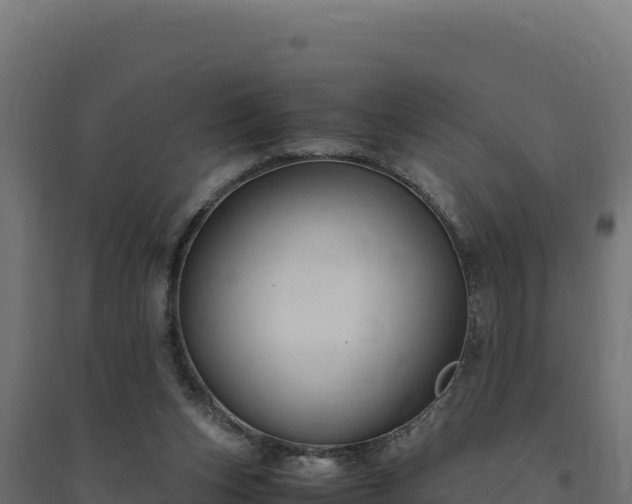X0000094780159200711241347