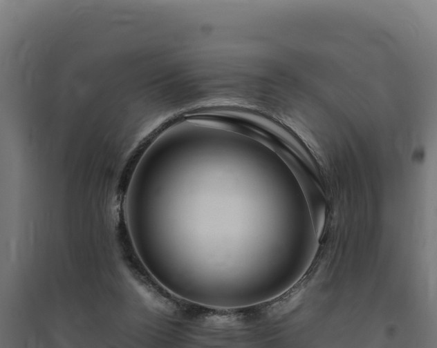 X0000094780160200711241347