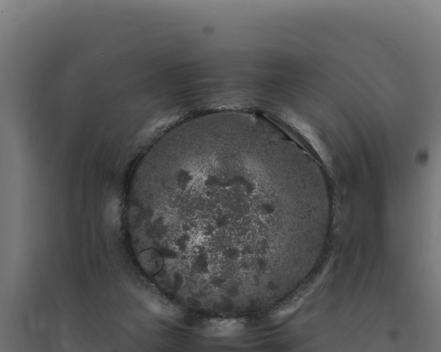 X0000094780161200711241347