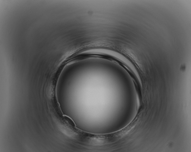 X0000094780164200711241347
