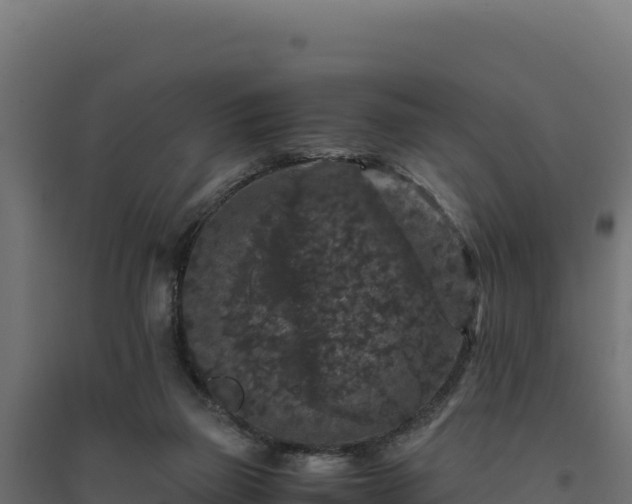 X0000094780165200711241347