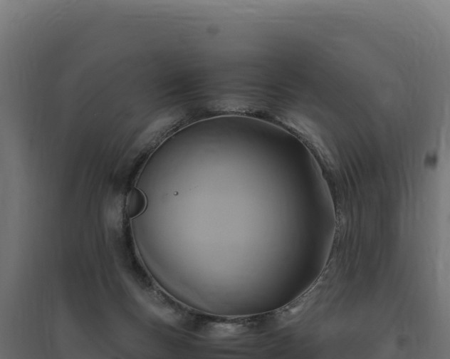 X0000094780167200711241347