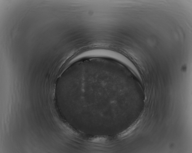 X0000094780168200711241347