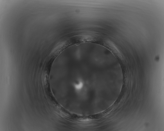 X0000094780169200711241347