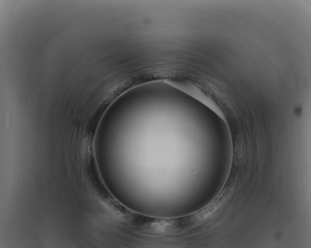 X0000094780172200711241347