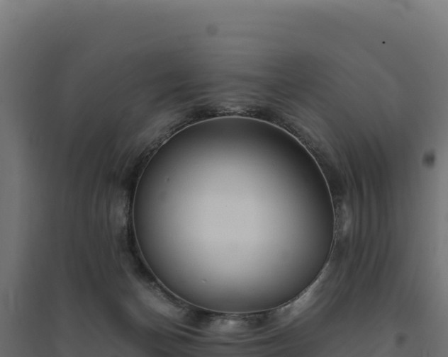 X0000094780174200711241347