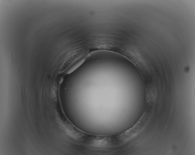 X0000094780175200711241347