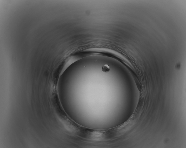 X0000094780176200711241347