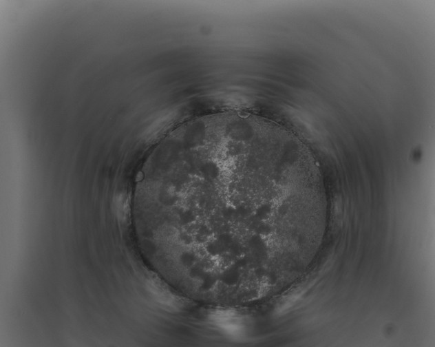 X0000094780177200711241347