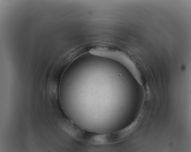 X0000094780178200711241347