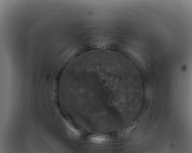 X0000094780181200711241347