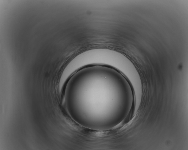 X0000094780184200711241347