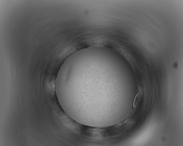 X0000094780190200711241347