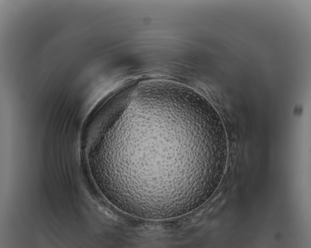 X0000094780194200711241346