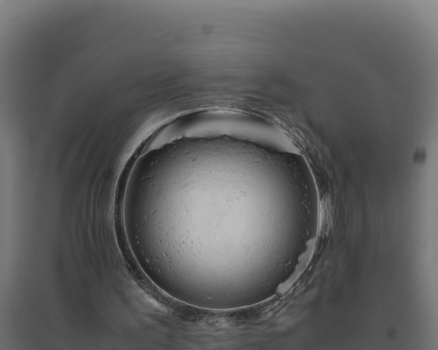 X0000094780195200711241346