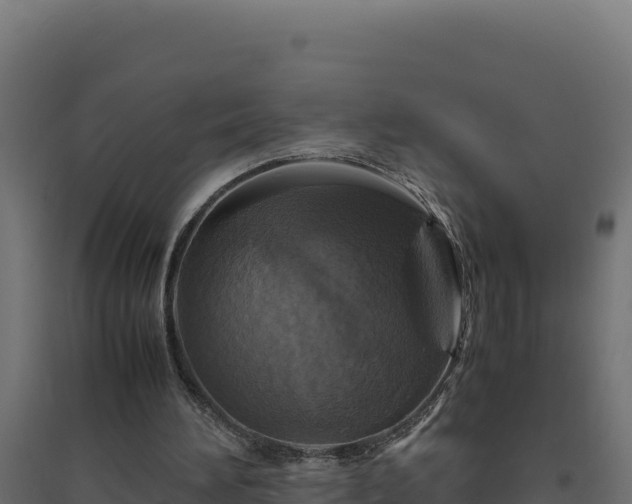 X0000094780196200711241346