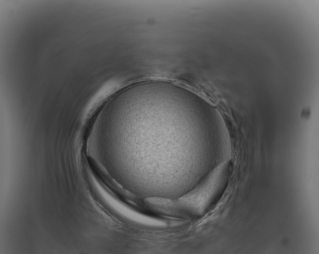 X0000094780197200711241346