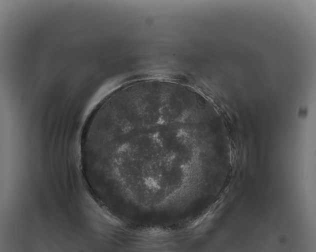 X0000094780198200711241346