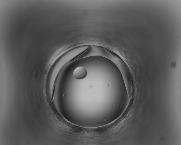 X0000094780199200711241346