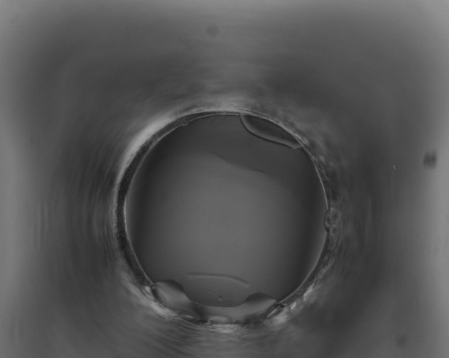 X0000094780200200711241346