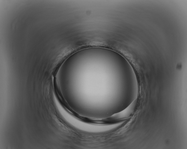 X0000094780201200711241346