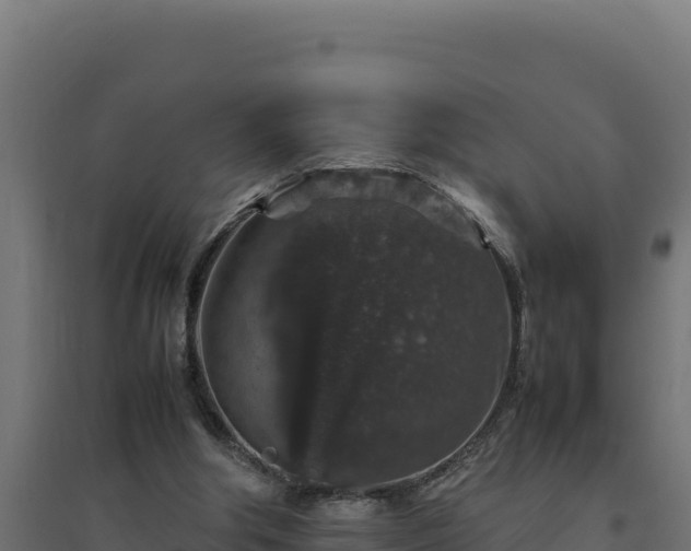 X0000094780202200711241346