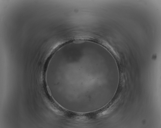 X0000094780203200711241346