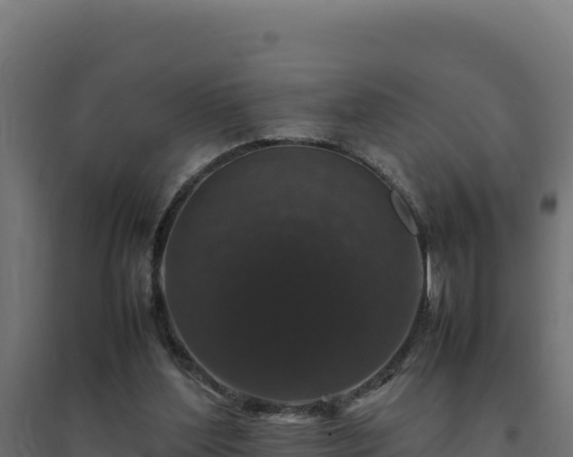 X0000094780204200711241346