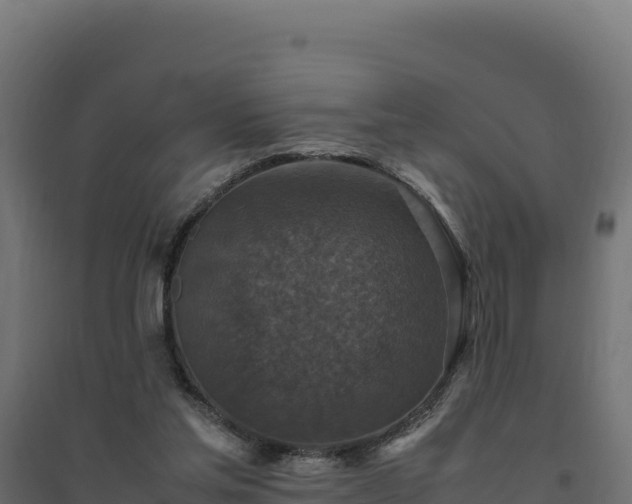 X0000094780205200711241346