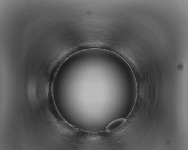 X0000094780206200711241346