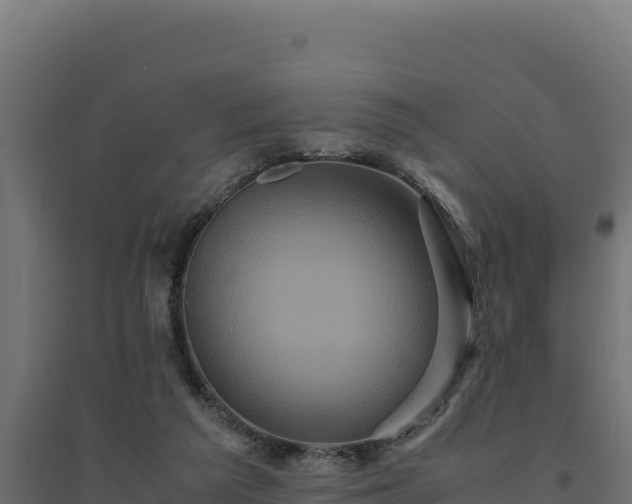 X0000094780209200711241346