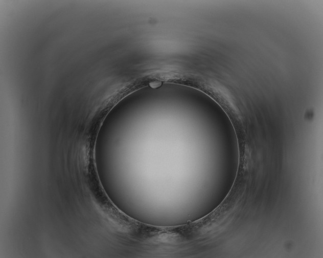 X0000094780210200711241346