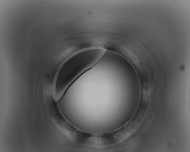 X0000094780211200711241346