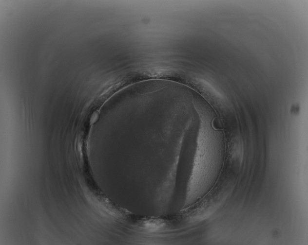 X0000094780214200711241346