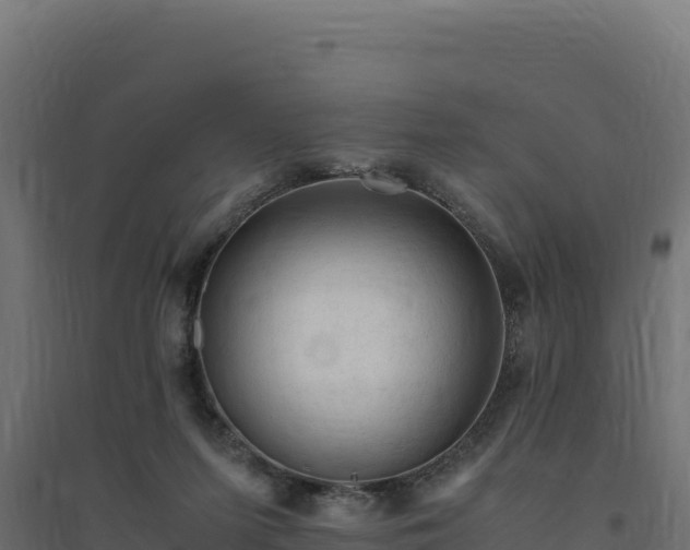 X0000094780215200711241346