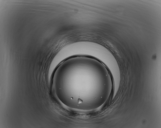 X0000094780217200711241346