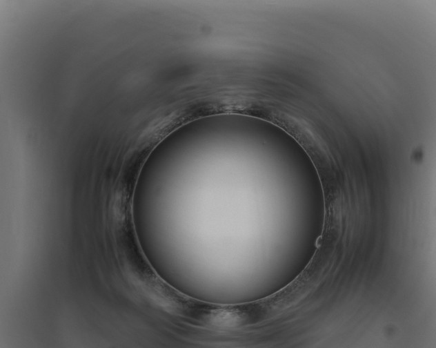X0000094780218200711241346
