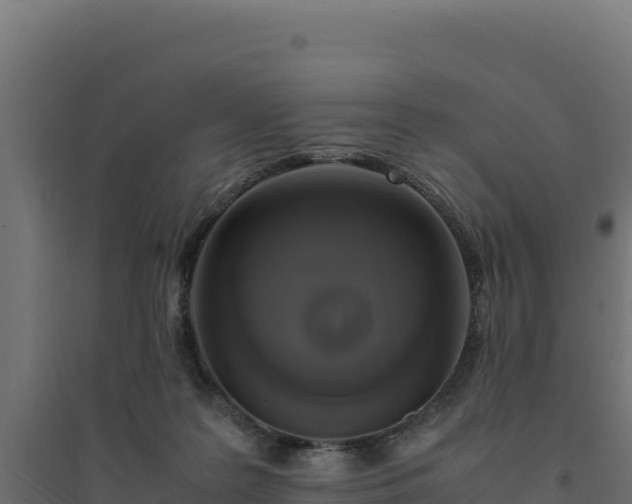 X0000094780219200711241346