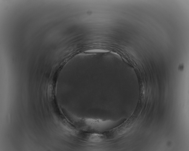 X0000094780222200711241346