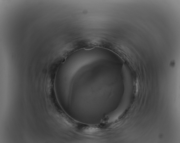 X0000094780223200711241346