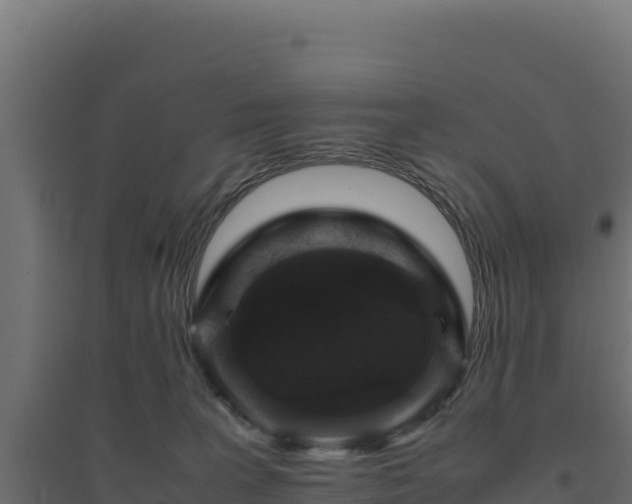 X0000094780227200711241346