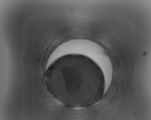 X0000094780229200711241346