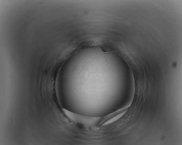 X0000094780230200711241346