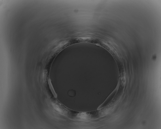 X0000094780231200711241346