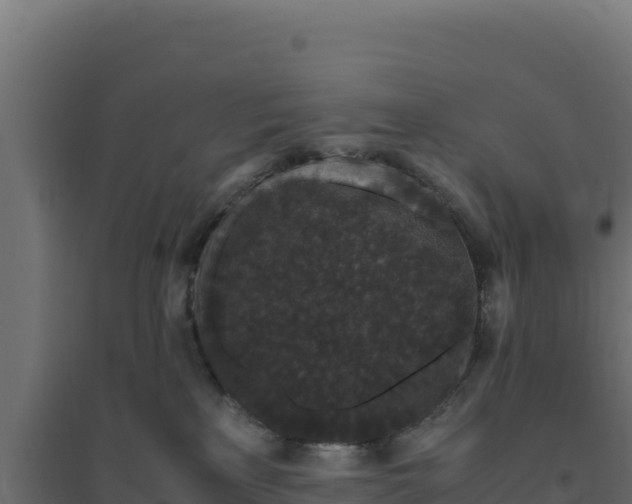 X0000094780233200711241346