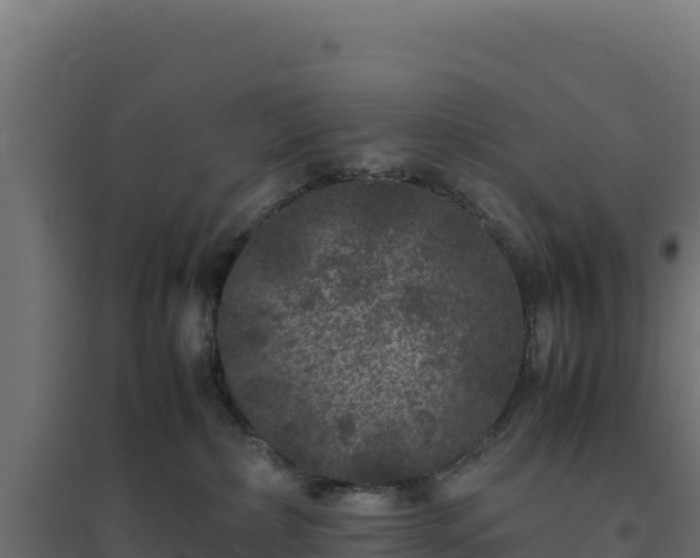X0000094780236200711241346
