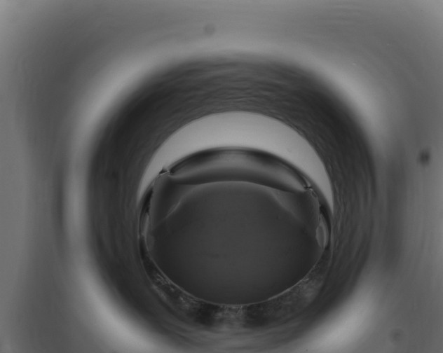 X0000094780239200711241346