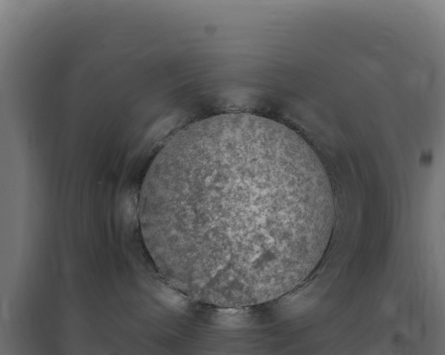 X0000094780240200711241346