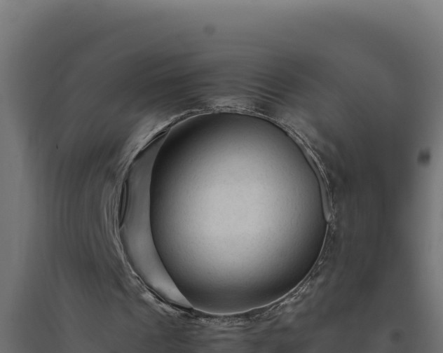 X0000094780241200711241345