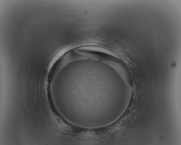 X0000094780244200711241345